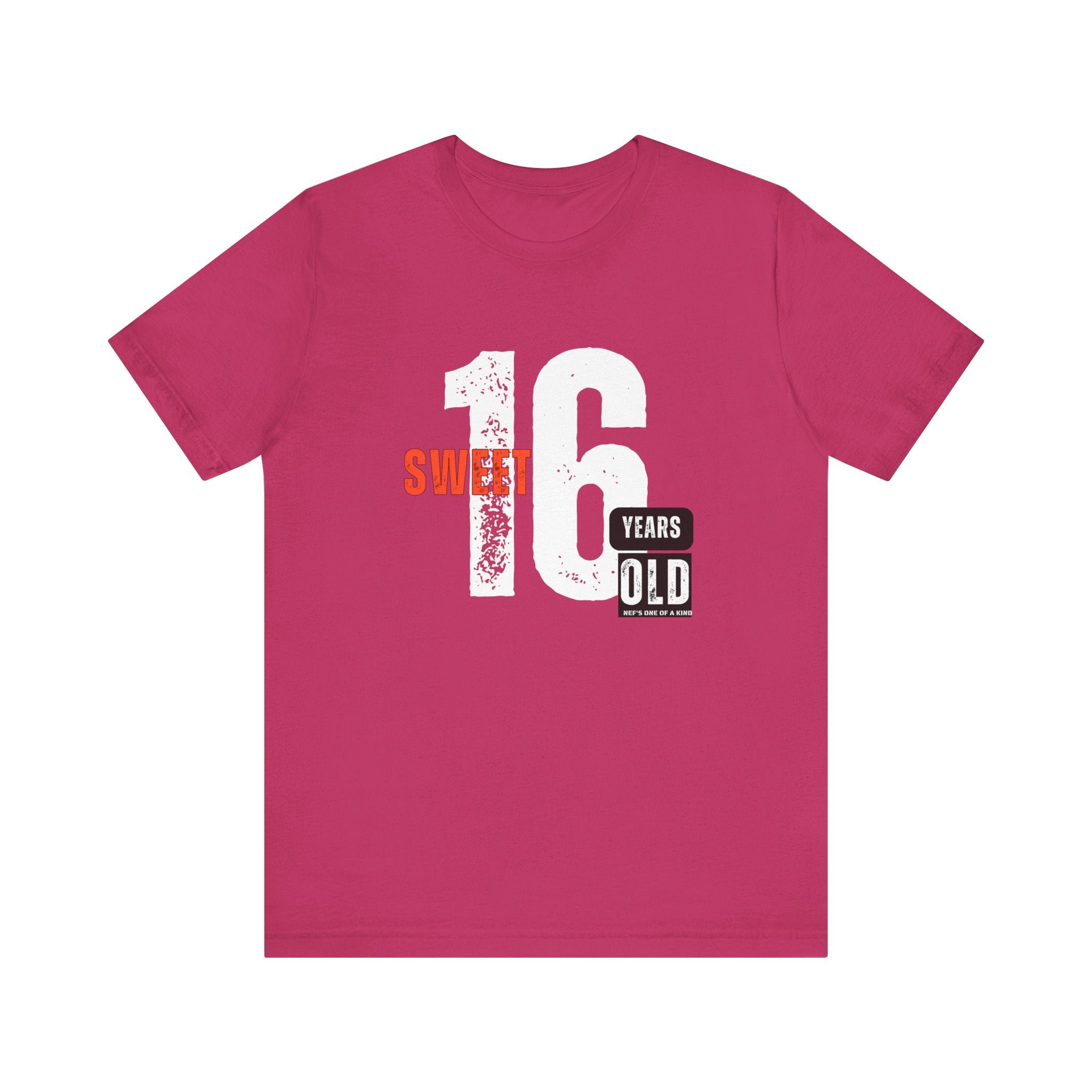 16year Old Unisex Adult Tee